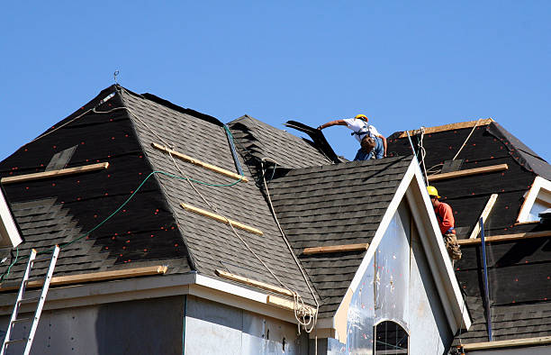 Best Storm Damage Roof Repair  in Willis, TX