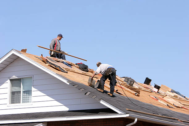 Best Green or Eco-Friendly Roofing Solutions  in Willis, TX